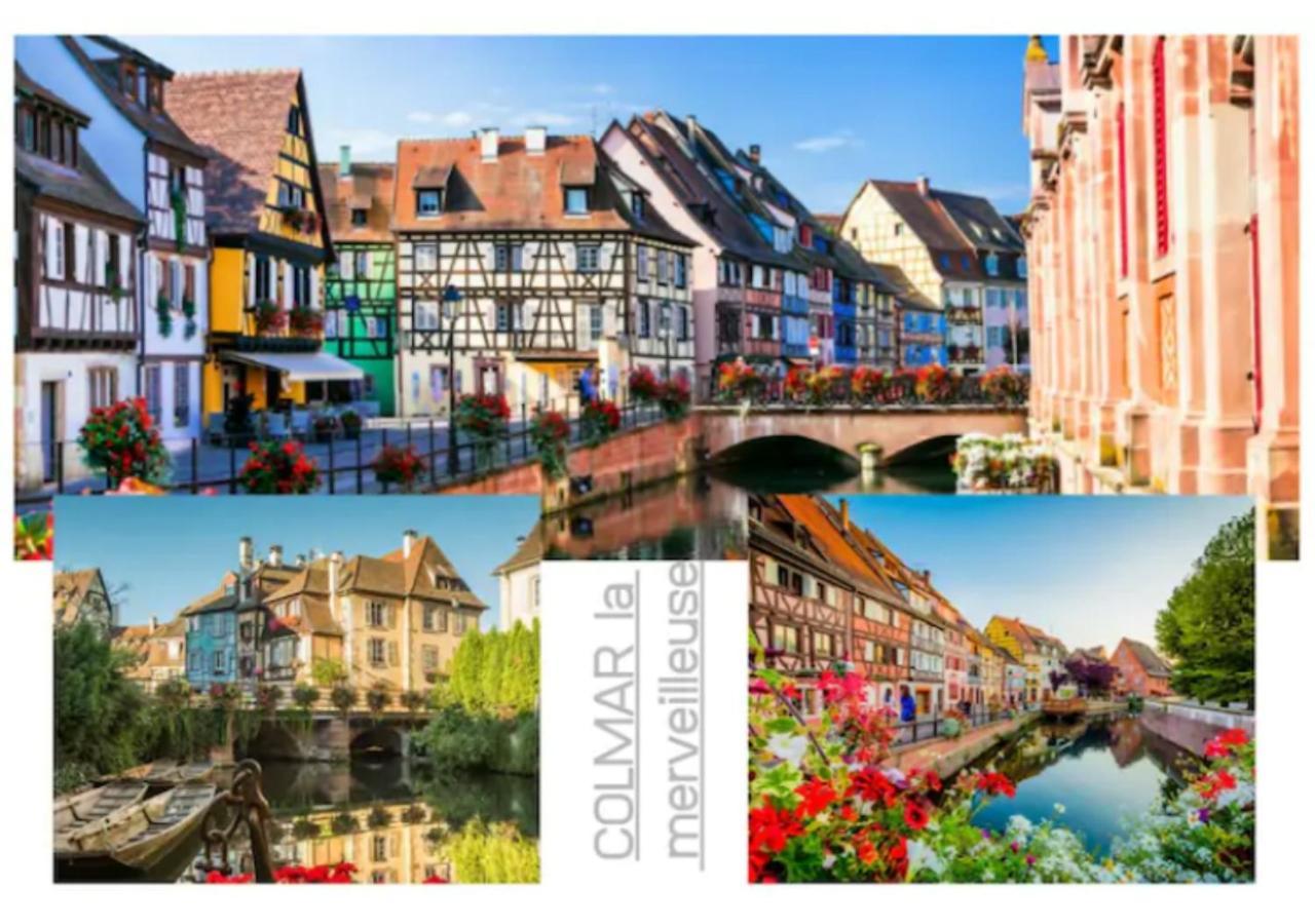 Thann Colmar - 1 Chambre - 5 Pers - Parking Екстериор снимка